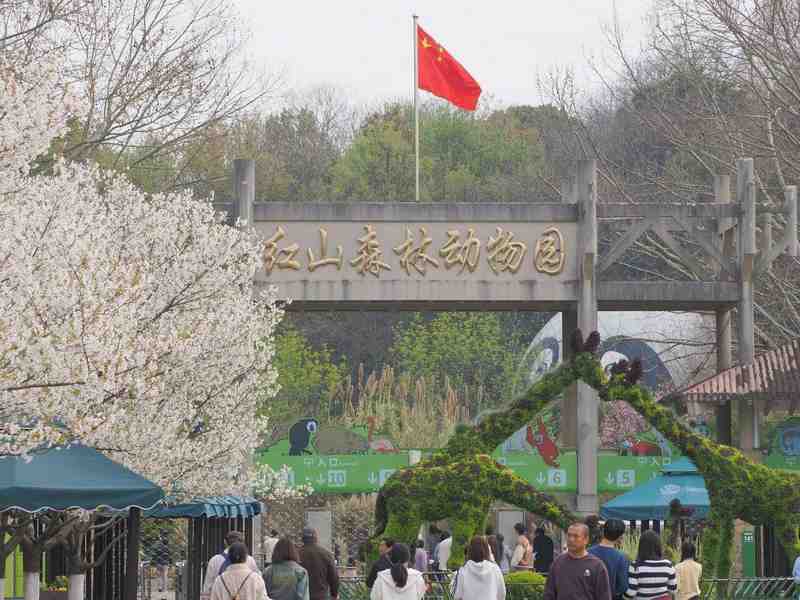 亲子出行的焦虑解构:为何南京能成为家长心中的研学首选地 情感心理