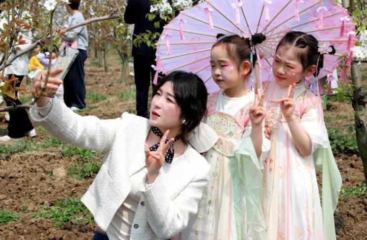 从「赏花经济」到「致富闭环」:利辛县新张集乡梨园产业升级深度复盘 文化旅游