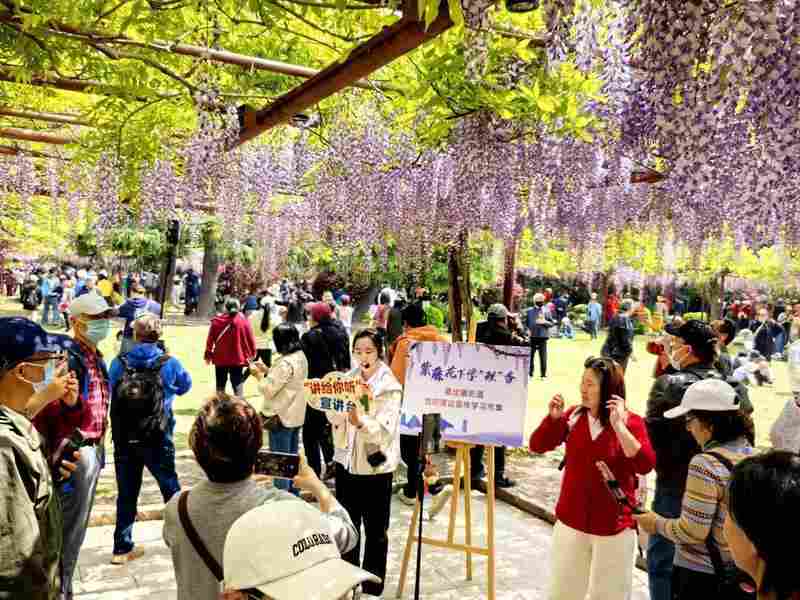 技术赋能理论传播:嘉定紫藤园学习市集的创新实践深度解析 新闻 技术赋能理论传播:嘉定紫藤园学习市集的创新实践深度解析 新闻 技术赋能理论传播:嘉定紫藤园学习市集的创新实践深度解析 新闻 技术赋能理论传播:嘉定紫藤园学习市集的创新实践深度解析 新闻