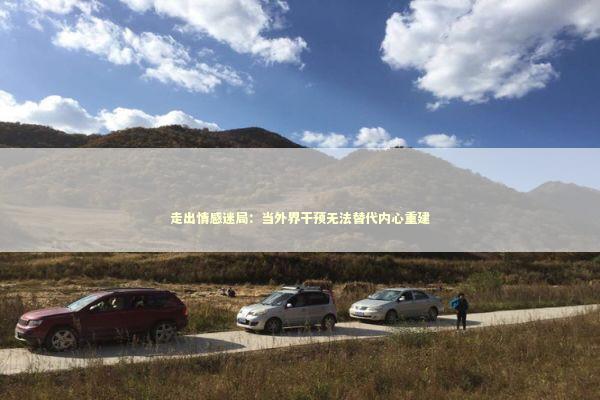 走出情感迷局：当外界干预无法替代内心重建
