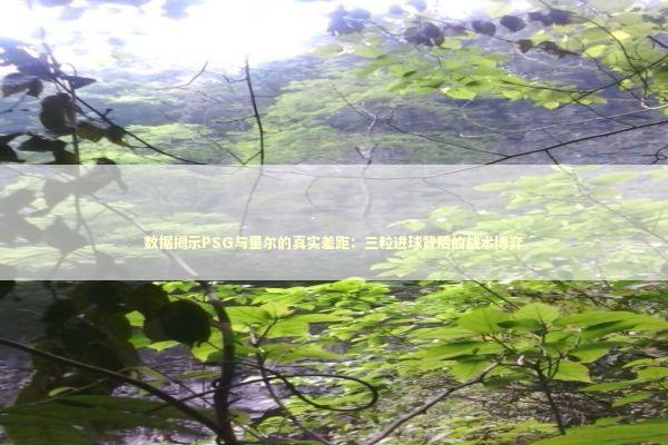 数据揭示PSG与里尔的真实差距：三粒进球背后的战术博弈