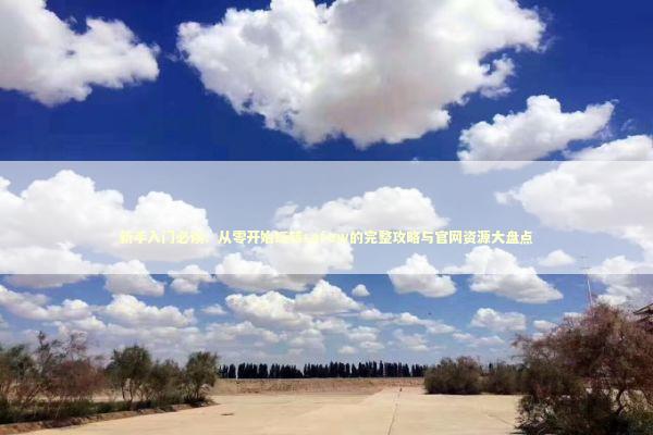 新手入门必读：从零开始玩转safew的完整攻略与官网资源大盘点