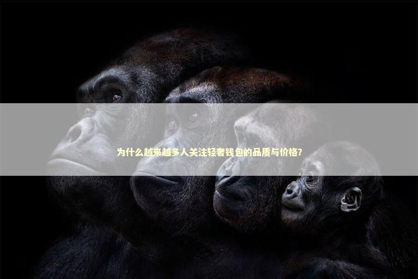 为什么越来越多人关注轻奢钱包的品质与价格？