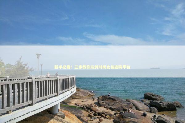 新手必看！三步教你玩转时尚女包选购平台