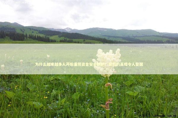 为什么越来越多人开始重视资金安全防护？背后的真相令人警醒